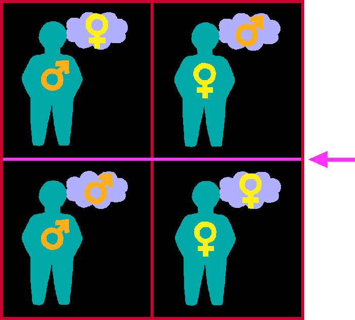 A line appears between the two boxes on the "gay side" and the two boxes on the "straight side"